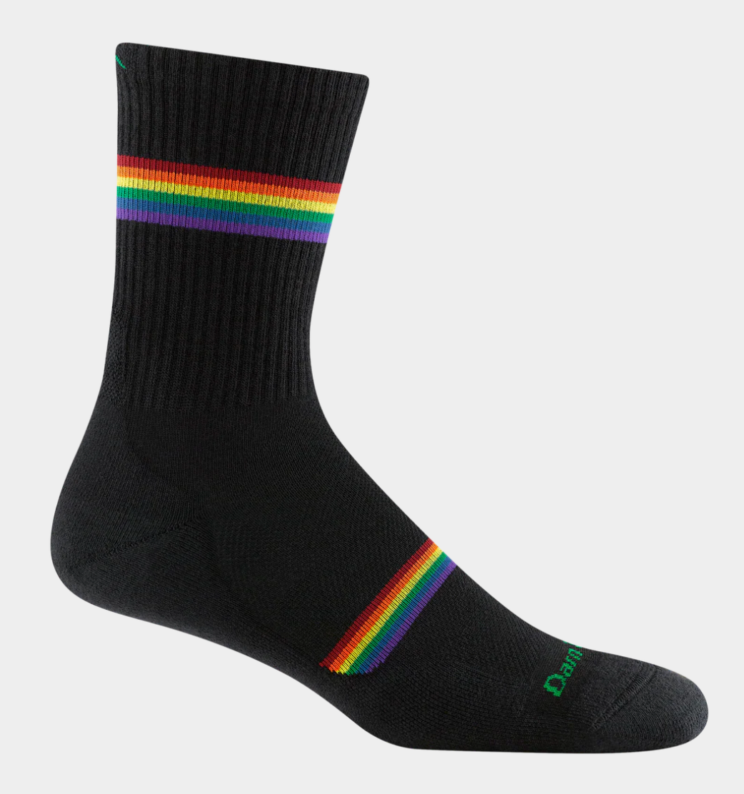 Men's rainbow merino wool quarter socks in black with a rainbow stripe, featuring a cushioned ribbed body. Shown on a single foot form.